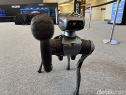 Aksi Robot Anjing Pintar Tecno Dynamic 1 yang Menggemaskan