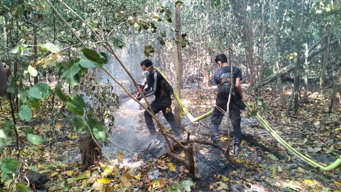 Tim gabungan melakukan pemadaman api di Pulau Deli, Kabupaten Pandeglang. (Dok istimewa)