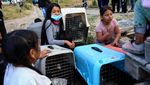 Warga Ekuador Evakuasi Anjing Liar dari Kebakaran Hutan