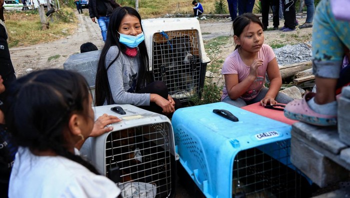 Men carry a kennel during evacuation from an area near a wildfire, in Quito, Ecuador, September 25, 2024. REUTERS/Karen Toro