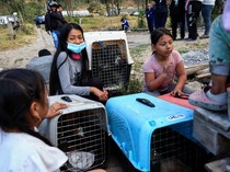 Warga Ekuador Evakuasi Anjing Liar dari Kebakaran Hutan