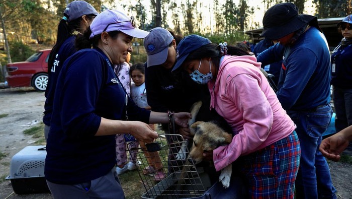 Men carry a kennel during evacuation from an area near a wildfire, in Quito, Ecuador, September 25, 2024. REUTERS/Karen Toro