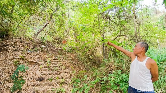Warga menunjukkan lokasi penemuan mayat pria misterius yang tergantung di pohon di Bukit Gembok Cinta Jering Wetan, Sidorejo Godean, Kabupaten Sleman, DIY, Kamis (26/9/2024).