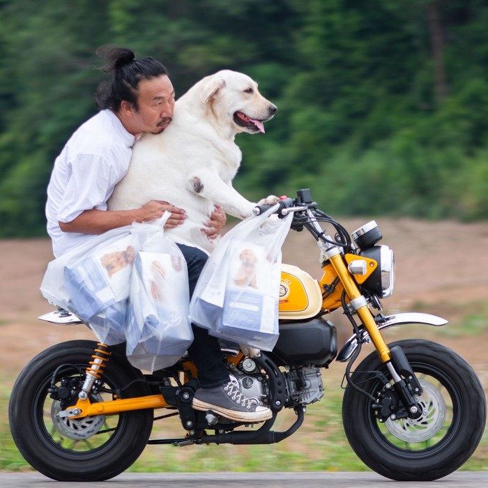 foto anjing lucu