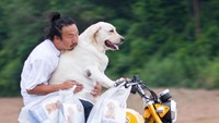 Fotografer Thailand, Kuttiya Kanchanasopawong berbagi momen termanis dengan sahabat berbulunya yang gemas dan pintar.