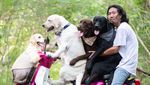 Foto: Lucu Banget Pose Anjing Bonceng Tuannya