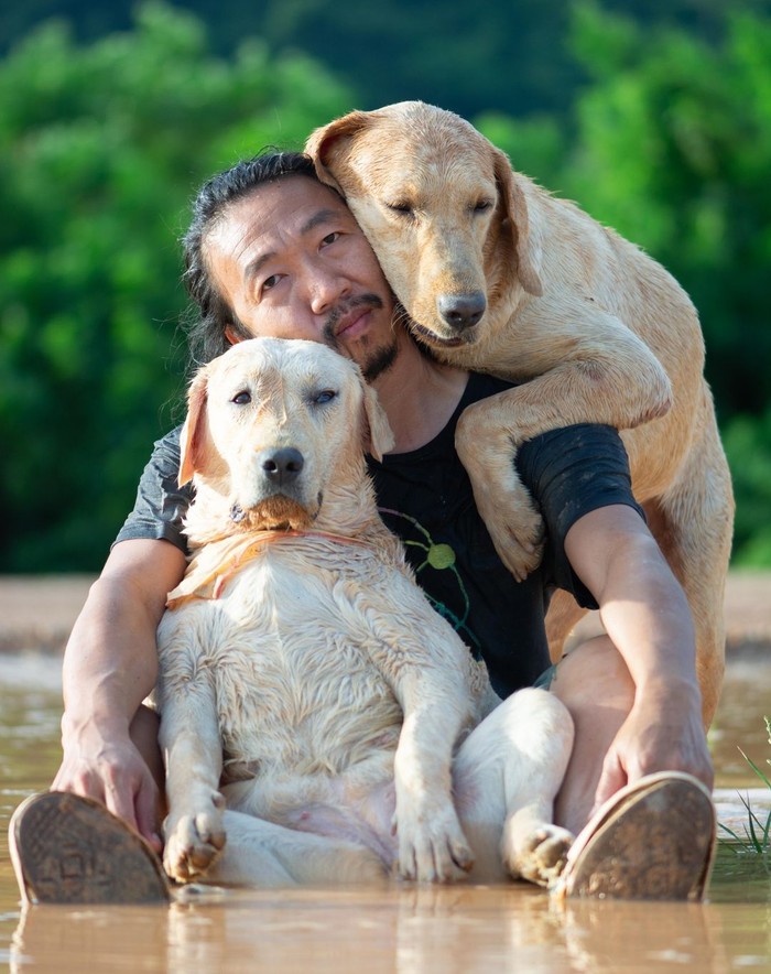 Foto lucu anjing