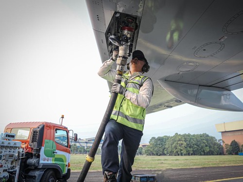Pemerintah Bakal Kembangkan Bioavtur dari Rumput Laut
