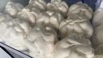 Jajan Bakpao Viral Ukuran Jumbo di Dalam Perumahan