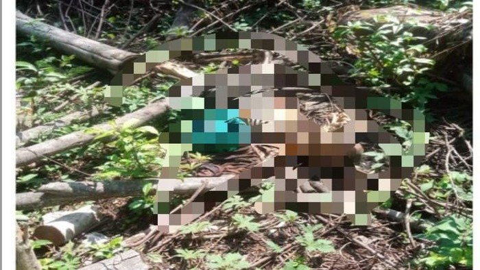Kerangka manusia ditemukan di pegunungan Bogor