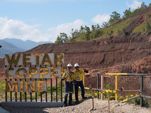 Grup Merdeka Tanam 5.500 Mangrove di Area Kerja Selama 2022-2024
