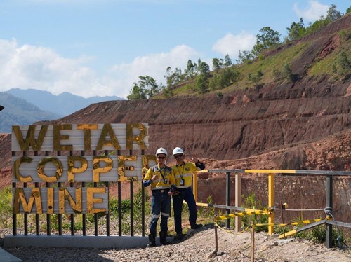 Grup Merdeka Tanam 5.500 Mangrove di Area Kerja Selama 2022-2024