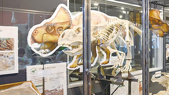 Museum Dinosaurus di Okayama University of Science