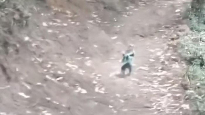 Penampakan monyet yang tangannya terikat di Gunung Panderman Kota Batu