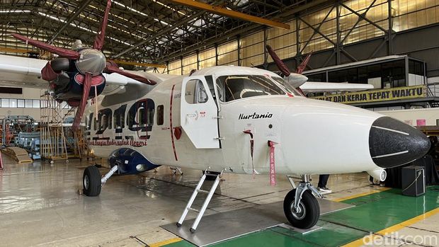 Pesawat N219 basic