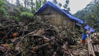 Bencana itu mengakibatkan sebanyak tujuh rumah di Suku Badui rusak, tiga di antaranya rusak berat, dan empat lumbung rusak akibat tertimpa pohon durian. 