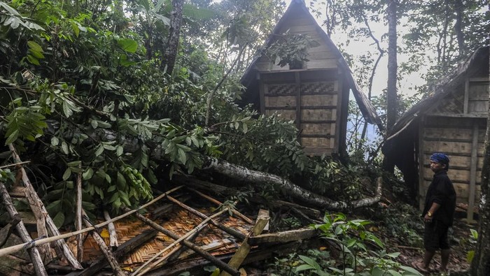 Anak Suku Badui berjalan di sekitar rumah yang rusak akibat angin puting beliung di Kampung Lebak Menteng, Lebak, Banten, Kamis (26/9/2024). BPBD Kabupaten Lebak mencatat bencana angin puting beliung yang terjadi selama satu jam pada Rabu (25/9/2024) pukul 15.00 WIB mengakibatkan sebanyak tujuh rumah rusak, tiga di antaranya rusak berat, dan empat lumbung rusak akibat tertimpa pohon durian. ANTARA FOTO/Muhammad Bagus Khoirunas/nym.