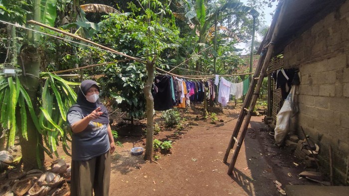 Warga Dusun Panjen, Desa Jambewangi, Banyuwangi di lokasi jemuran