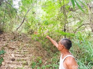 Mayat Tergantung di Pohon Gembok Cinta Godean Terungkap Asal Temanggung