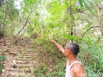 Mayat Tergantung di Pohon Gembok Cinta Godean Terungkap Asal Temanggung