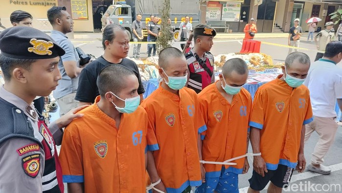 4 pelaku penanam ganja di lereng Gunung Semeru