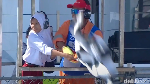 Azizah mengibarkan bendera finish Sprint Race MotoGP Mandalika 2024, Sabtu (26/9/2024).