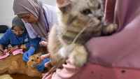 Dokter hewan juga memeriksa kesehatan kucing sebelum divaksinasi rabies di Kabupaten Tasikmalaya, Jawa Barat. Antara Foto/Adeng Bustomi.  