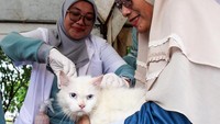 Pemkot Dumai juga menggelar vaksinasi rabies secara gratis dengan target 4 ribu sampai 5 ribu ekor dalam rangka memperingati Hari Rabies Sedunia 2024. Antara Foto/Aswaddy Hamid.  
