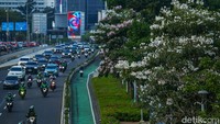 Mekarnya bunga tabebuya membuat kawasan Sudirman semakin indah.