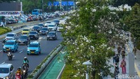 Bunga dengan warna putih itu menghiasi jalan protokol tersebut.