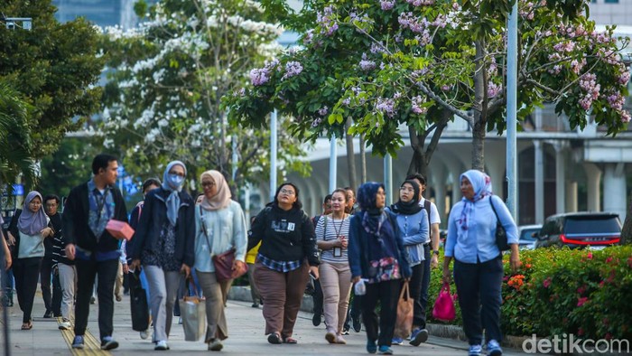 Bunga Tabebuya Bermekaran di Jalan Sudirman Jakarta Bunga tabebuya atau handroanthus chrysotrichus mulai bermekaran di Jalan Sudirman, Jakarta.