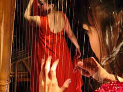 Ini Hasil Jepretan Kamera Leica Xiaomi 14T Series