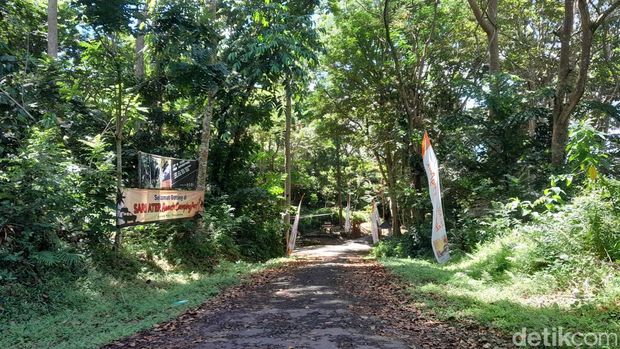 Karinjing Forest Pangandaran