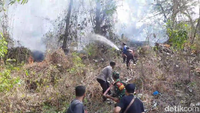 kebakaran hutan jati di lumajang