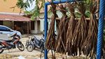 Menyulap Eceng Gondok Jadi Bernilai Ekonomis