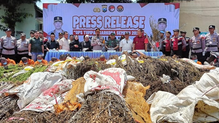 Polres Lumajang gelar jumpa pers penemuan ladang ganja di lereng Semeru