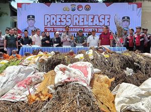 Kasus Ladang Ganja di Lereng Semeru Berujung 4 Tersangka Diamankan