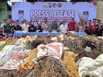 Penyedia Bibit Ganja di Lereng Semeru Lumajang Diburu