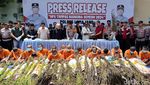 Pengungkapan Ladang Ganja di Lumajang
