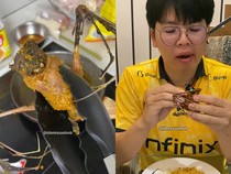 Pria Indonesia Dikecam Gegara Makan Indomie Pakai Kelelawar Goreng