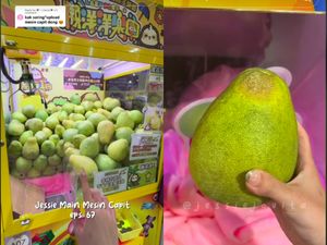 Setelah Durian, Kini Ada Mesin Capit Isi Jeruk Pomelo