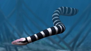 2. Palaeophis colossaeus merupakan ular laut melintasi samudra purba yang pernah terbentang di sebagian Afrika Utara pada 100 juta tahun lalu. Ketika kerangka fosilnya ditemukan di gurun Sahara saat ini, para peneliti menghitung dari sampel yang kemudian dikumpulkan selama perjalanan lapangan pada tahun 1999 dan 2003 bahwa spesies ini akan mencapai panjang lebih dari 12 m, menurut penelitian yang diterbitkan dalam jurnal Acta. Foto: LiveScience