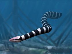 10 Ular Terbesar yang Ada di Bumi