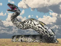 10 Ular Terbesar yang Ada di Bumi