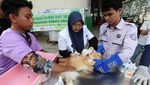 Vaksinasi Rabies untuk Kucing Liar Terus Digalakkan