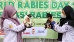 Vaksinasi Rabies untuk Kucing Liar Terus Digalakkan