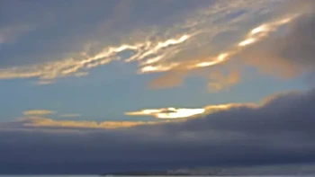 Mundur bang, jangan ganggu pacar gue, kata si penguin. Alright Mate Back off-this is my bird karya Andy Rouse. Foto: Andy Rouse/Comedy Wildlife Photography Awards 2024