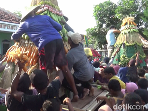 Warga Berebut Gunungan 1.000 Hasil Bumi-Tumpeng di Festival Ketan