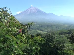 Gunung Semeru Hari Ini Erupsi 8 Kali dalam 6 Jam, Tinggi Letusan 500 Meter
