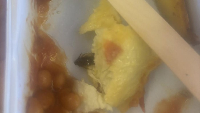Kecoa di dalam makanan pesawat